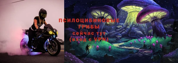 синтетический гашиш Ельня