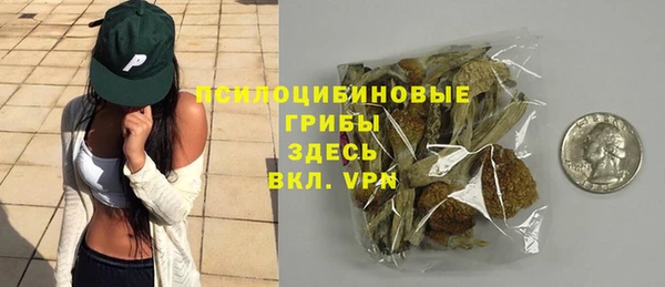 синтетический гашиш Ельня