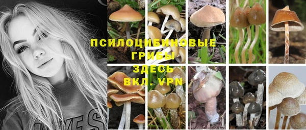бошки Елабуга