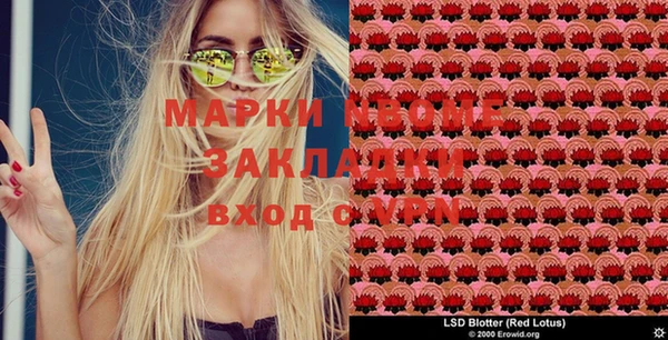бошки Елабуга