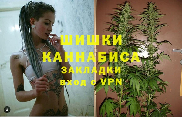 бошки Елабуга